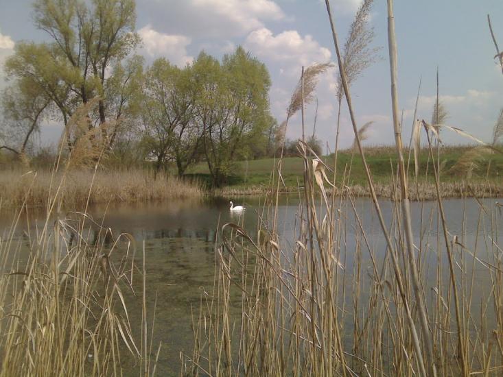 Степанівка з panoramio.com - Степановка