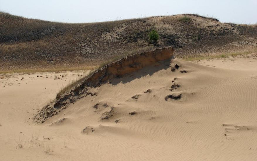 Пролетарка з panoramio.com - Пролетарка
