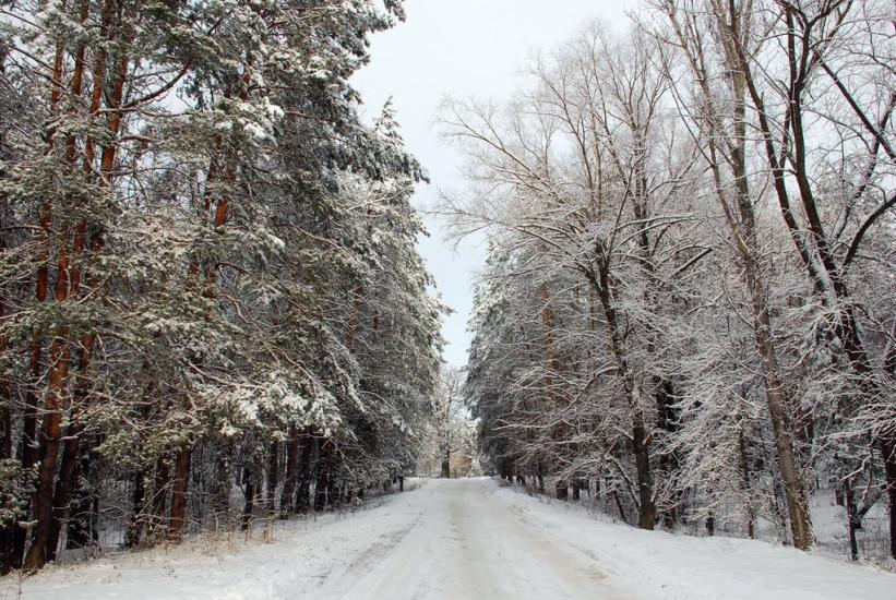 Геронимівка з panoramio.com - Geronymivka