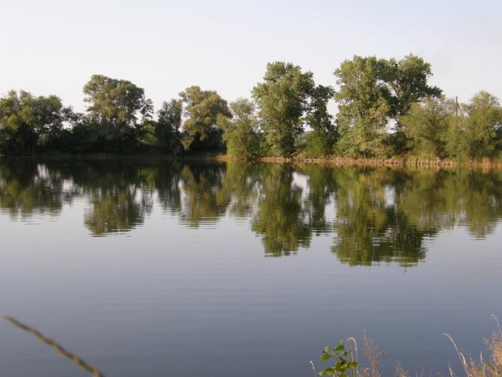 Пересічна з panoramio.com - Пересечная