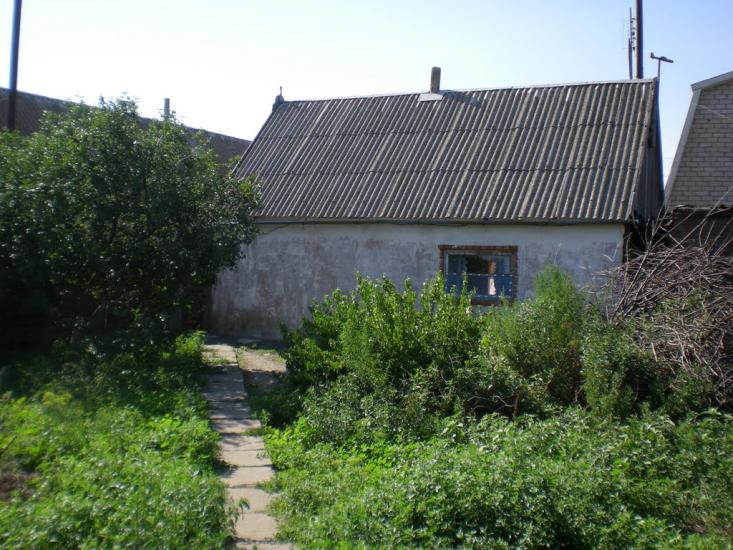 Степанівка Перша з panoramio.com - Степанівка Перша