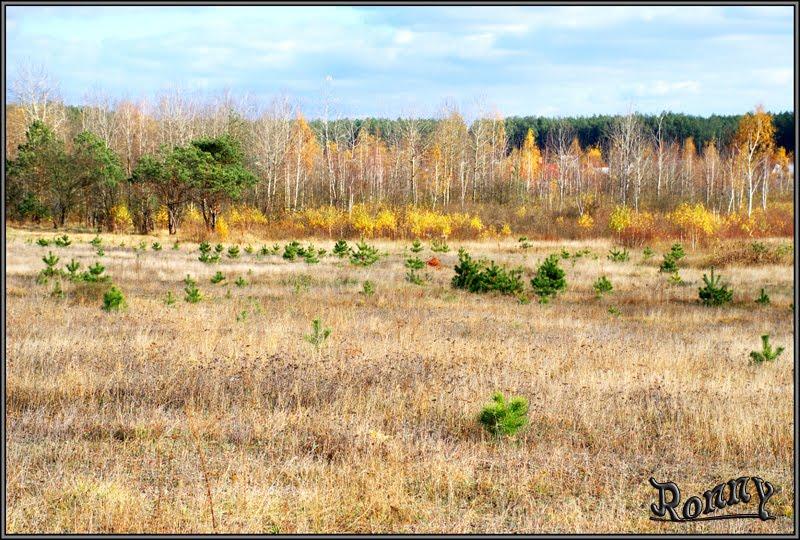 Барашівка з panoramio.com - Барашівка