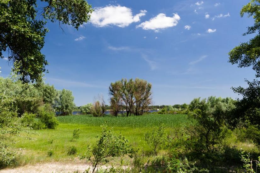 Пекарі з panoramio.com - Пекарі
