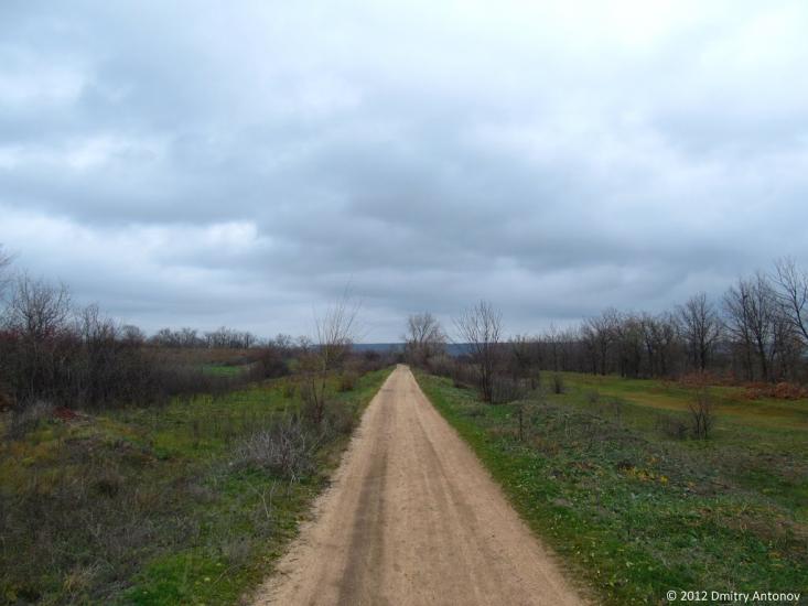 Стародобровільське з panoramio.com - Стародобровільське