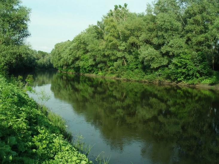 Говтва з panoramio.com - Govtva