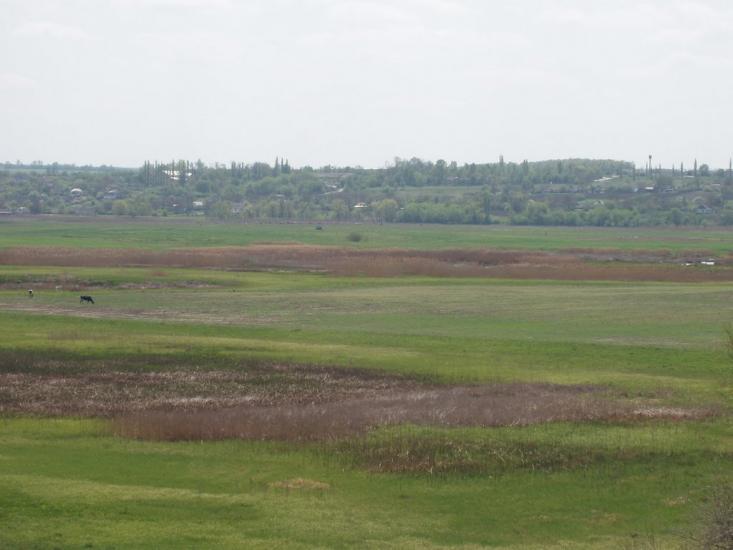 Єлизаветка з panoramio.com - Єлизаветка