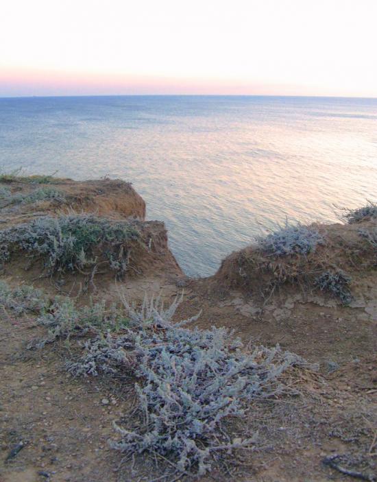 Осипенко з panoramio.com - Осипенко