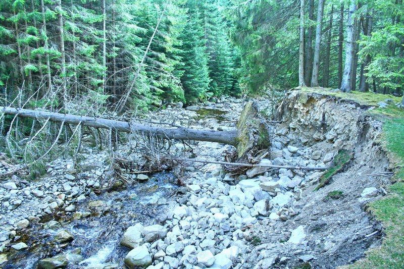 Максимець з panoramio.com - Максимець