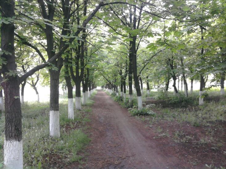 Новоукраїнка з panoramio.com - Новоукраинка