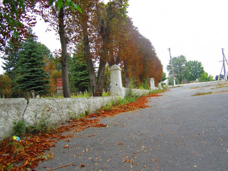 Кутківці з panoramio.com - Кутковцы