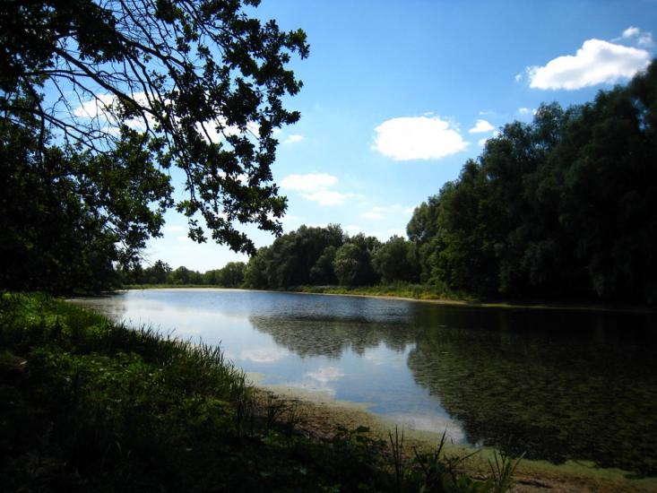 Нижнє з panoramio.com - Nyzhnye