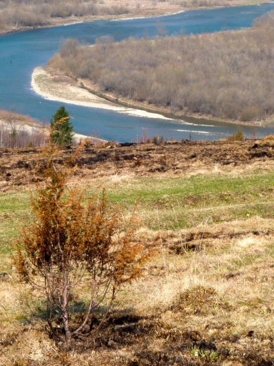 Перепростиня з panoramio.com - Перепростиня