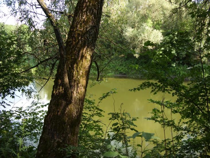 Юрки з panoramio.com - Юрки