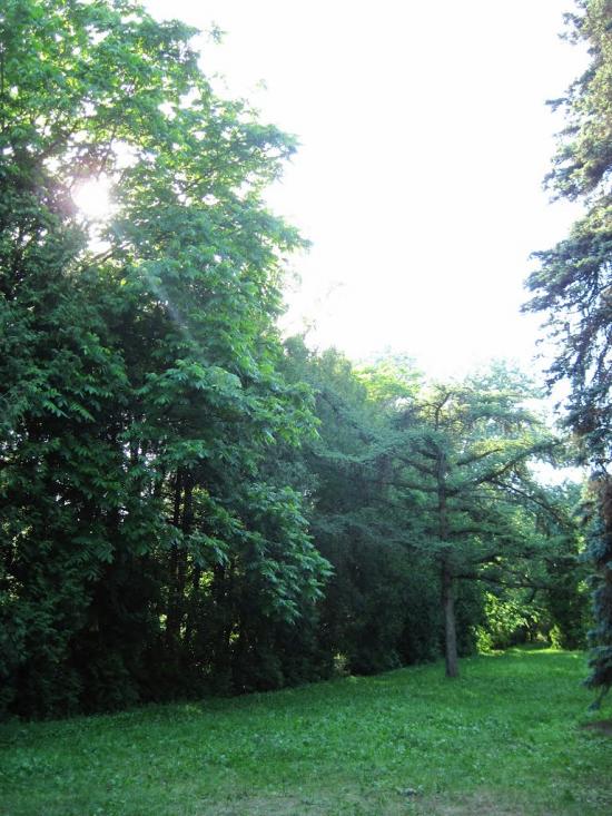 Бабичівка з panoramio.com - Бабичівка