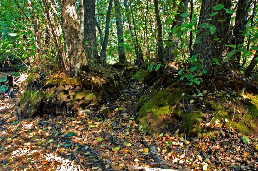 Знаменівка з panoramio.com - Znamenivka