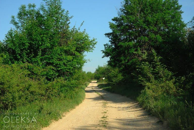 Інкерман з panoramio.com - Інкерман