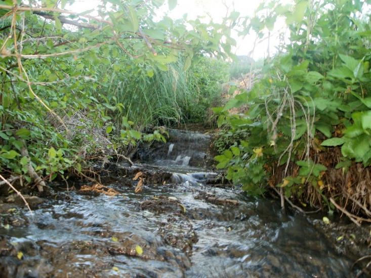 Шура-Мітлинецька з panoramio.com - Шура-Метлинецкая