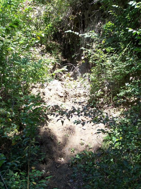 Старе Село з panoramio.com - Старое Село