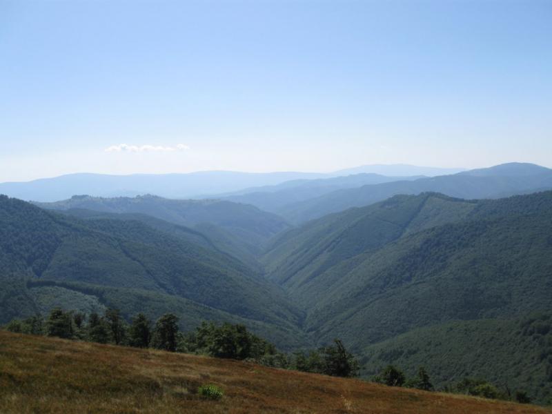 Потік з panoramio.com - Поток