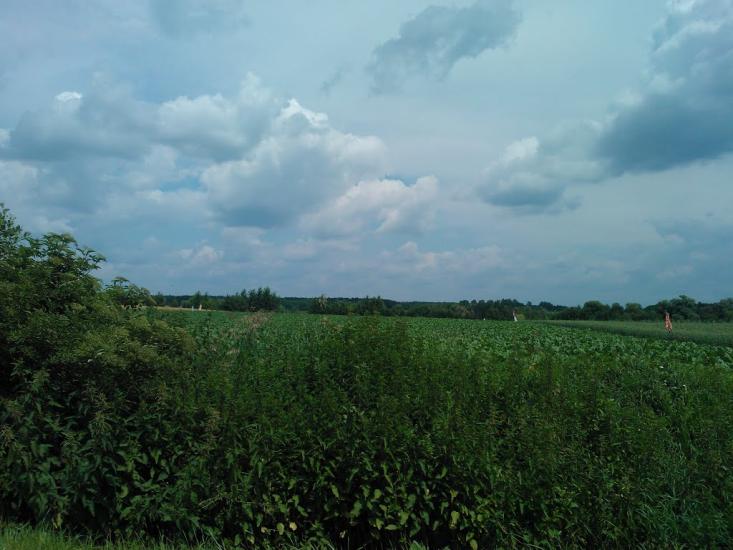 Пархоменкове з panoramio.com - Пархоменково