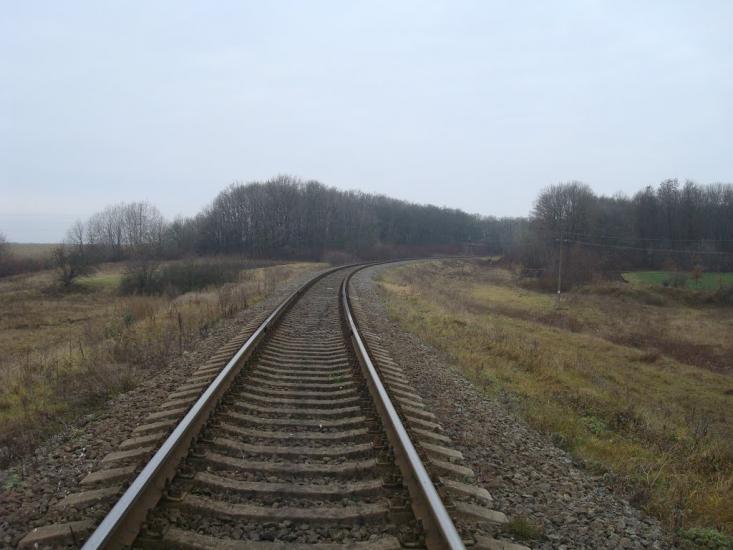 Радісне з panoramio.com - Радостное