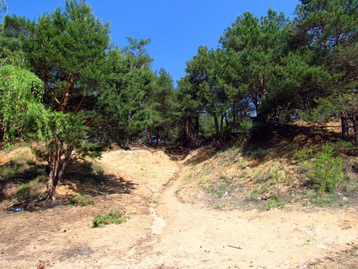 Широке з panoramio.com - Shyroke