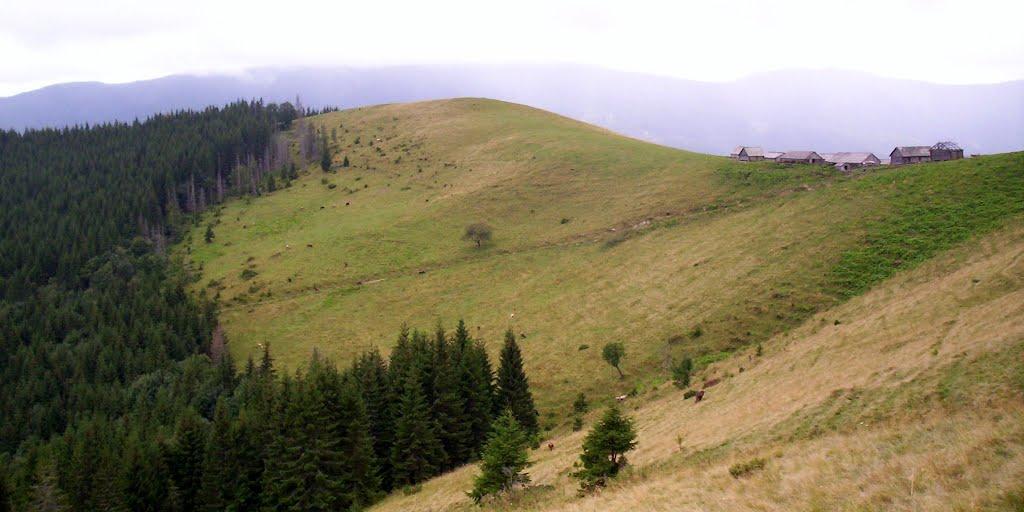 Климпуші з panoramio.com - Климпуши