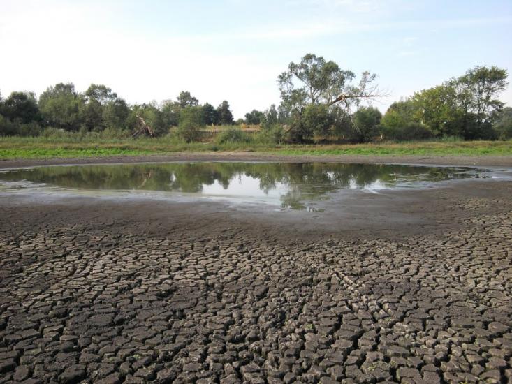 Макове з panoramio.com - Makove