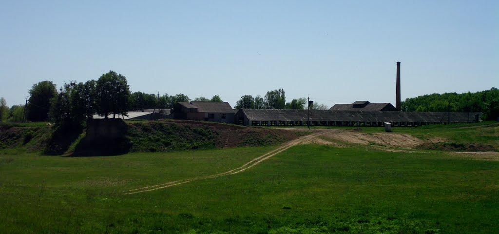 Дзензелівка з panoramio.com - Дзензелівка
