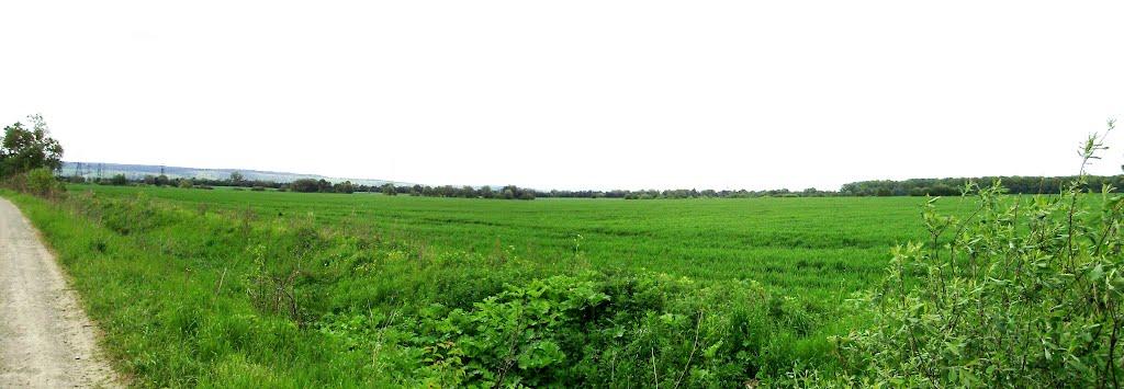 Черниця з panoramio.com - Черниця