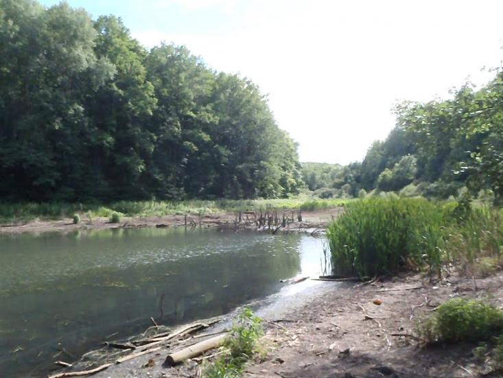 Зайченки з panoramio.com - Зайченки