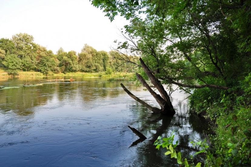 Шипилівка з panoramio.com - Shypylivka