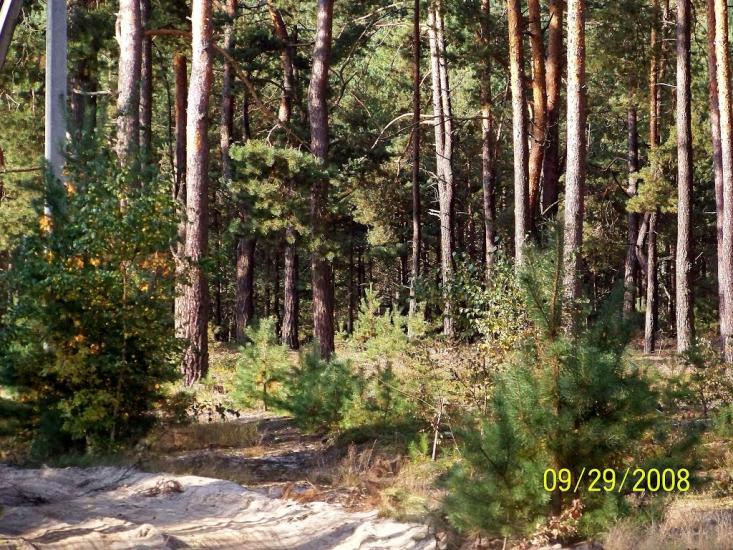 Пулемець з panoramio.com - Pulemets