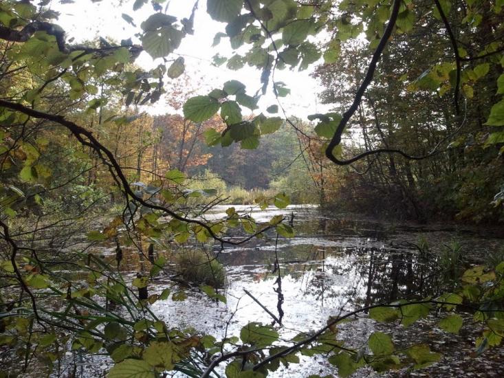 Малий Любінь з panoramio.com - Малий Любінь