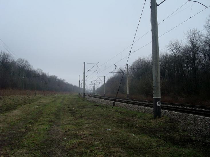 Васютинці з panoramio.com - Васютинці