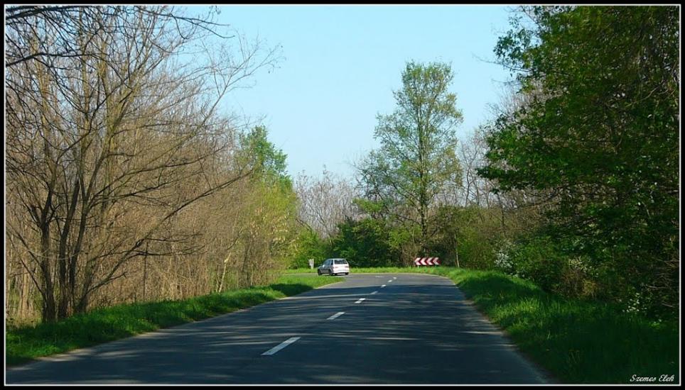 Бадалово з panoramio.com - Badalovo