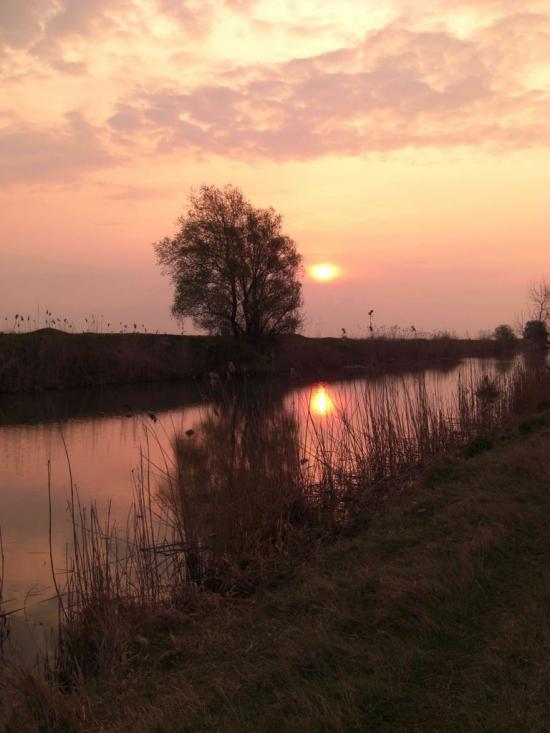 Стара Некрасівка з panoramio.com - Стара Некрасівка