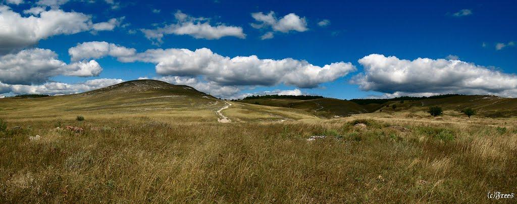 Біленьке з panoramio.com - Біленьке