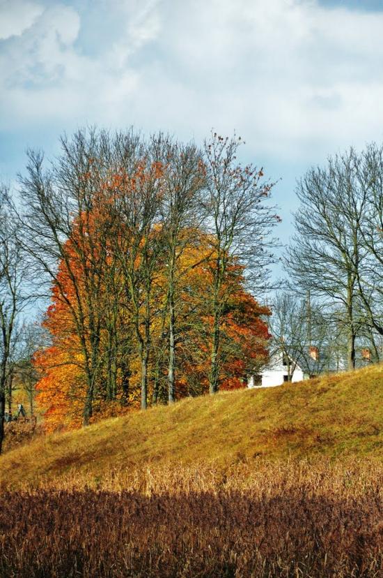 Наварія з panoramio.com - Наварія