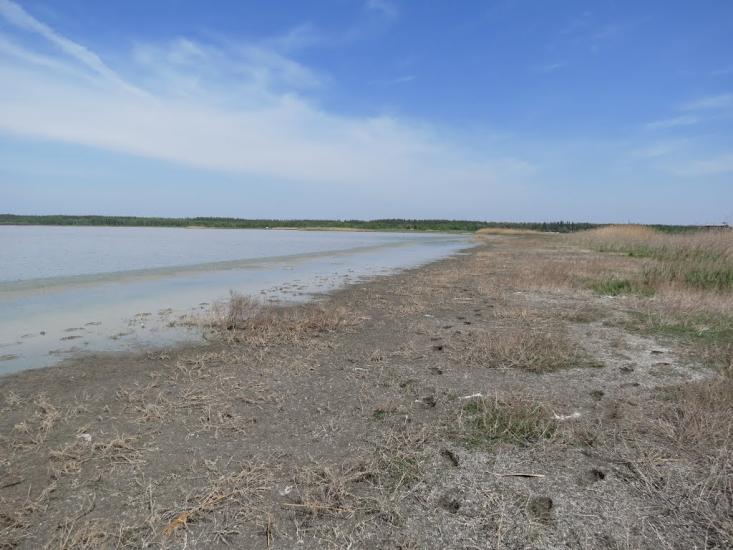 Новотроїцьке з panoramio.com - Новотроїцьке