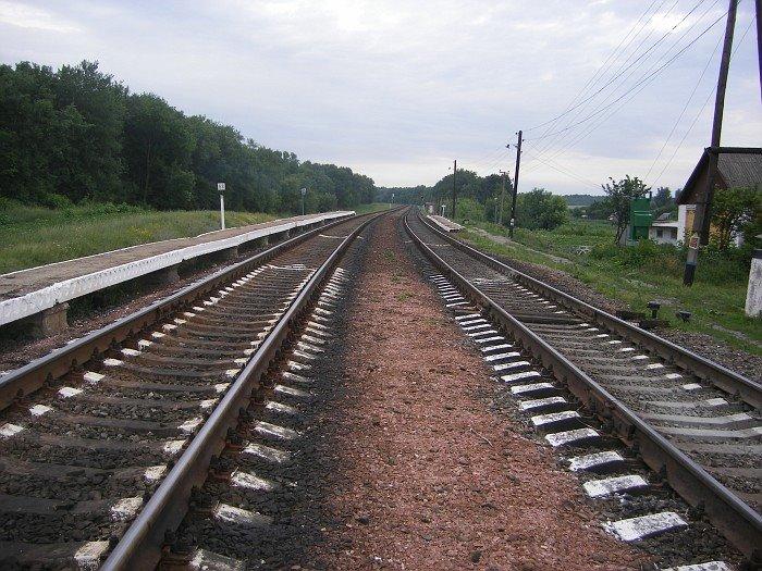 Бездрик з panoramio.com - Бездрик