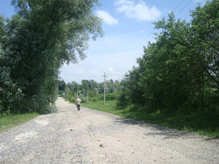 Черепова з panoramio.com - Черепова