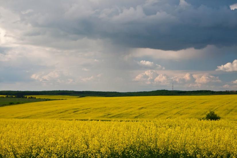 Хоросно з panoramio.com - Хоросно