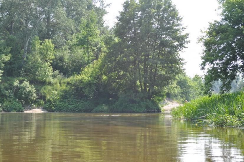 Кардашівка з panoramio.com - Кардашовка