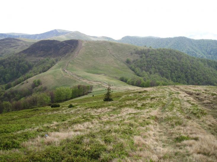 Усть-Чорна з panoramio.com - Усть-Чорна