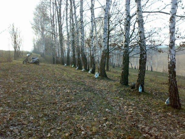 Мачухи з panoramio.com - Мачухи