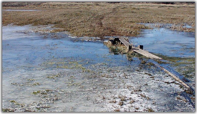 Новий Стародуб з panoramio.com - Новий Стародуб