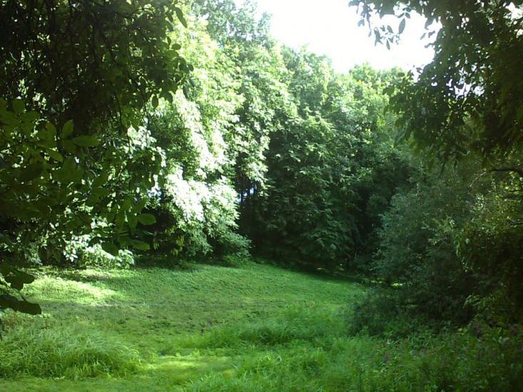 Сатанівка з panoramio.com - Сатановка