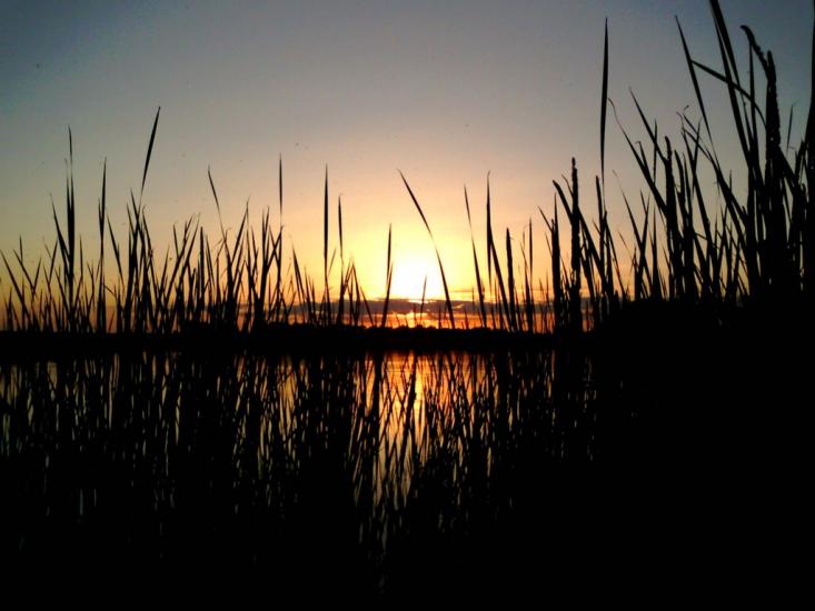 Роїще з panoramio.com - Роище