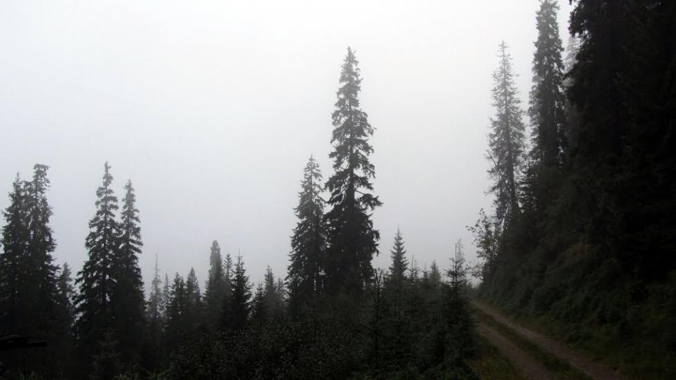 Костилівка з panoramio.com - Костылевка